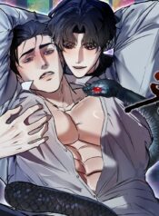 novel-21